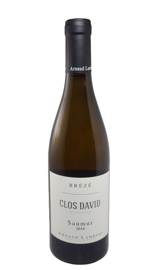 Saumur White "Clos Davis" 2016 - Arnaud Lambert winery - Organic wine